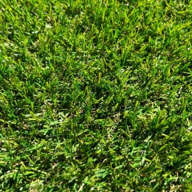 Oasis műfű (20 mm)