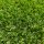 Oasis műfű (20 mm)