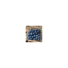 Áfonya 125g
