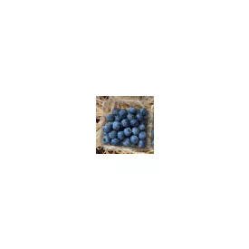 Áfonya 125g